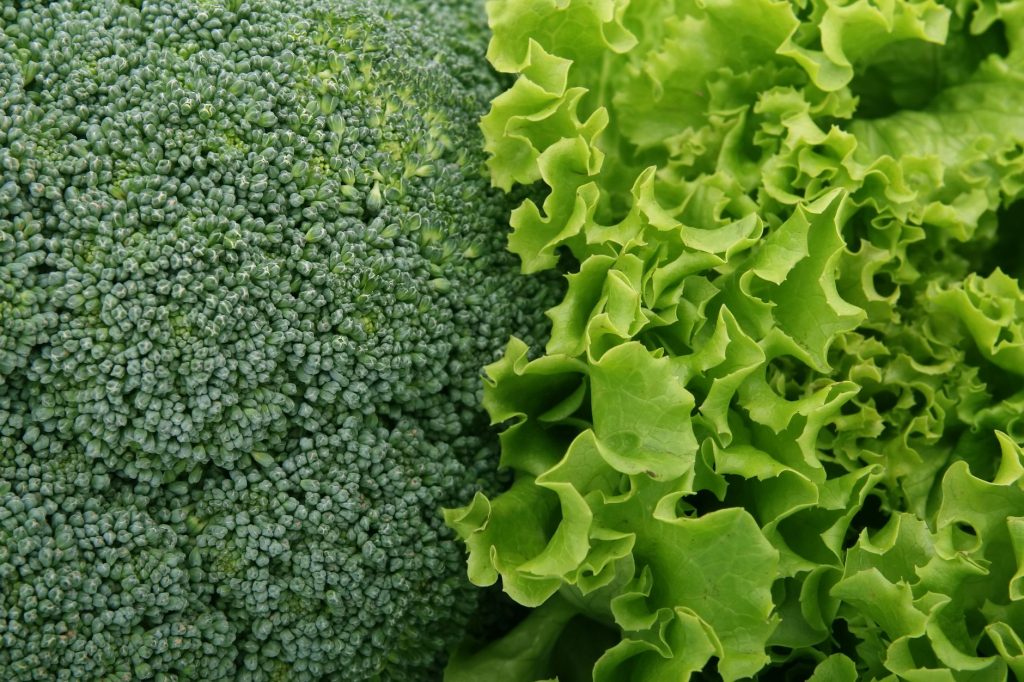 Les légumes verts à privilégier cet automne pour une alimentation saine