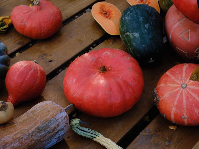Comment bien choisir ses aliments d&rsquo;automne pour rester en forme ?