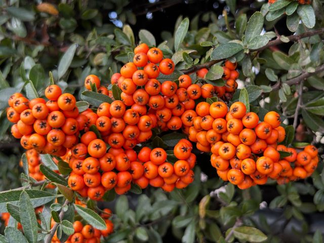 Adapter son alimentation méditerranéenne à l&rsquo;automne : conseils pratiques