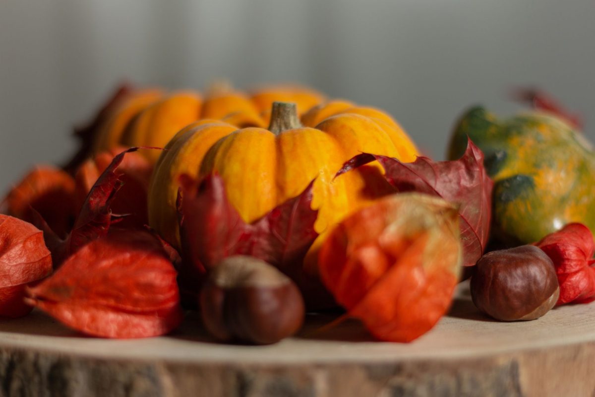 Quelles recettes salées préparer avec les ingrédients de saison en septembre ?