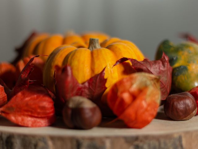 Quelles recettes salées préparer avec les ingrédients de saison en septembre ?